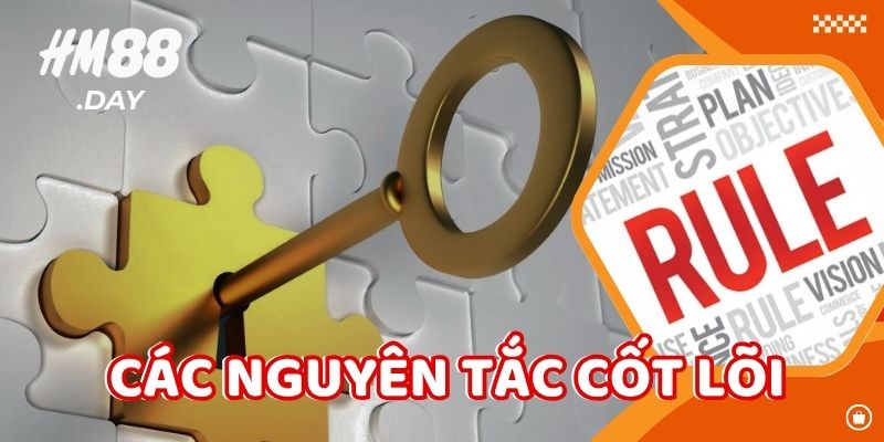 Các nguyên tắc cốt lõi của chính sách bảo mật HM88.