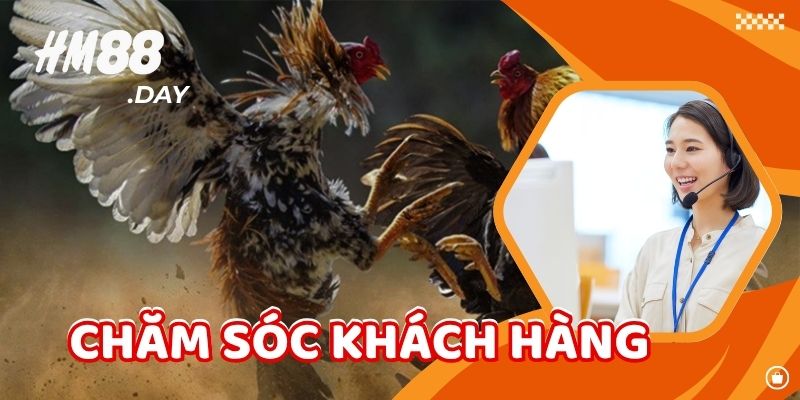 Hệ thống bảo mật và chăm sóc khách hàng luôn được ưu tiên hàng đầu.,