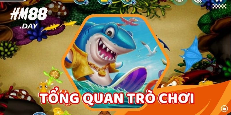 Giới thiệu tổng quan về Bắn cá ăn xu HM88.
