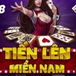 Tiến Lên Miền Nam HM88. Hướng dẫn cho người mới.