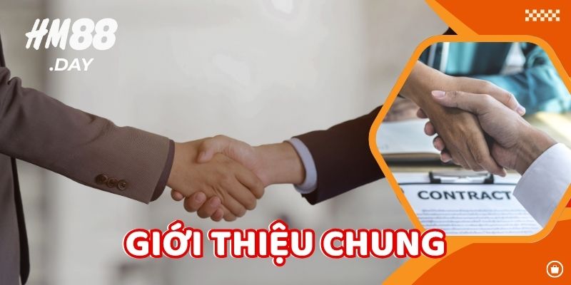 Giới thiệu chung về Điều khoản dịch vụ.